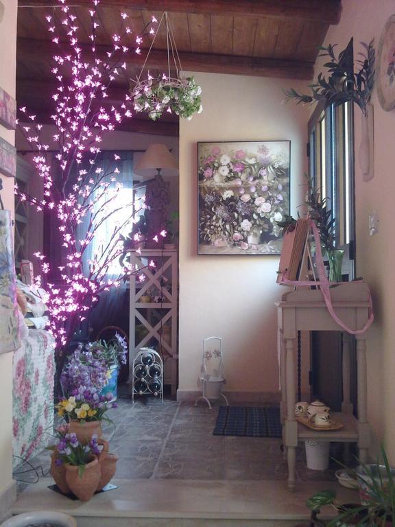 مبيت وإفطار نوتو Fiori E Coccole المظهر الخارجي الصورة